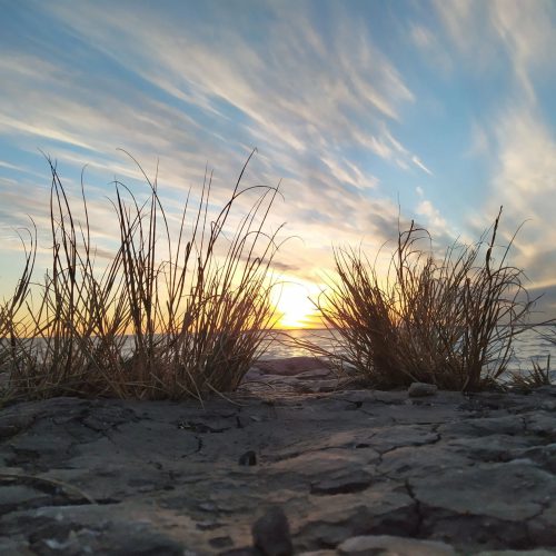 Jorge D. Müller - “Atardecer en el Cangrejal" - Orilla de la ría de Bahía Blanca