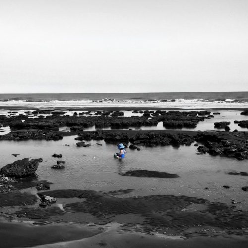 Jorge D. Müller - "Baby Blue" - Pehuen Co