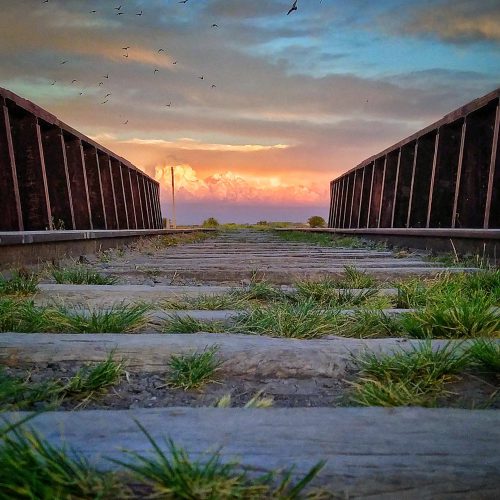 Jorge D. Müller - "Destino" - Ramal en desuso en cercanías de Villarino Viejo