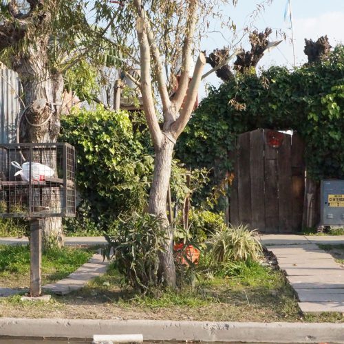 Berenise Santillán - Zona Imaginaria