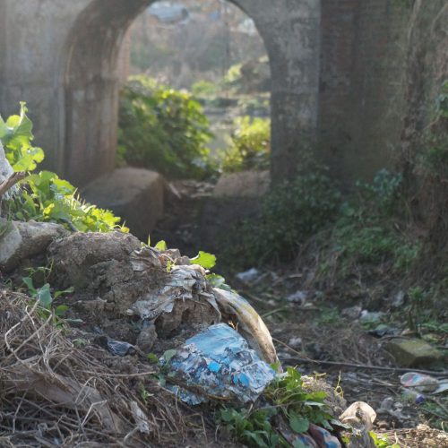 Berenise Santillán - Zona Imaginaria