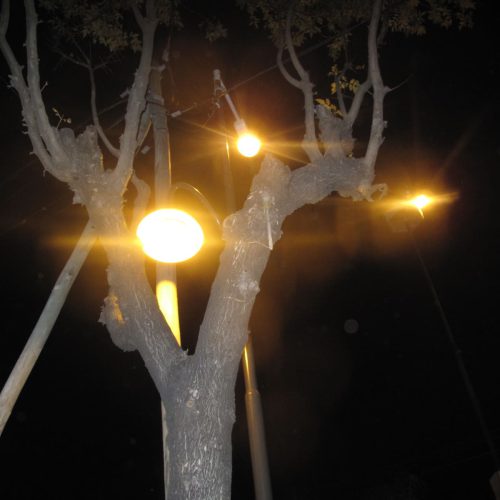 Berenise Santillán - Zona Imaginaria