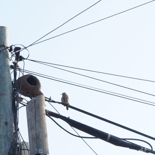 Lara Giménez - Zona Imaginaria