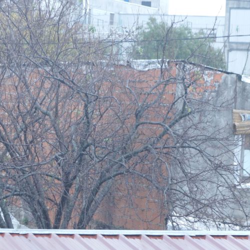 Lara Giménez - Zona Imaginaria