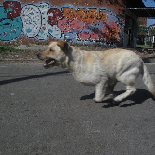 Matías Sambugnach - Zona Imaginaria